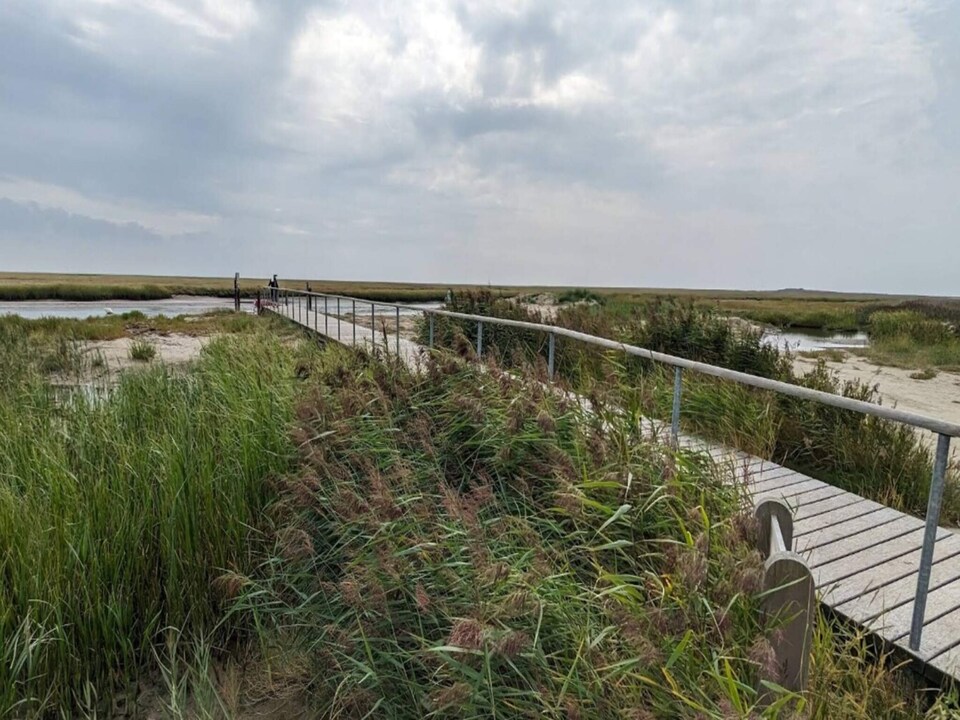 4 personas casa en Fanø, Fanø