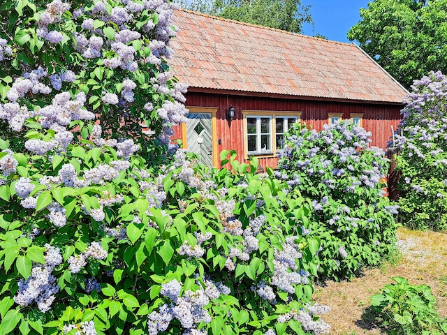 8 personen vakantie huis in Gotlands.Tofta, Gotlands Tofta
