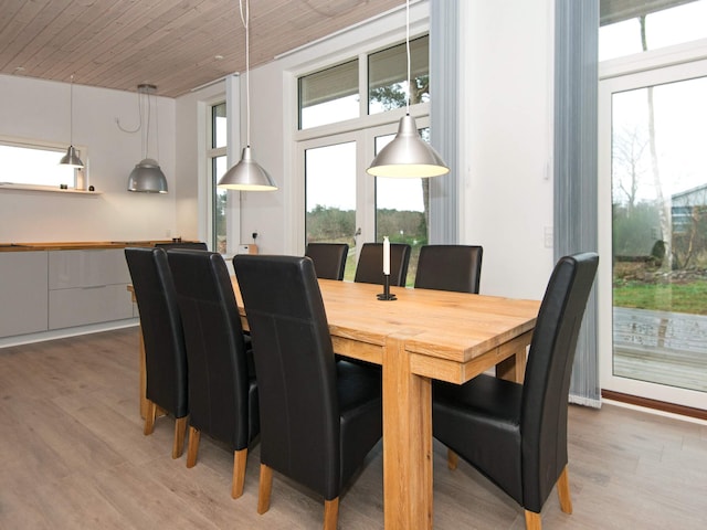 5 sterren vakantie huis in Knebel, Djursland (Mols)