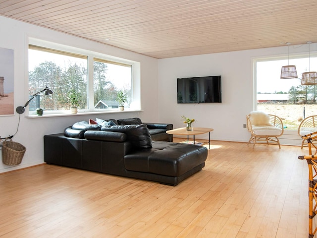 4 sterren vakantie huis in Rømø, Rømø and Mandø