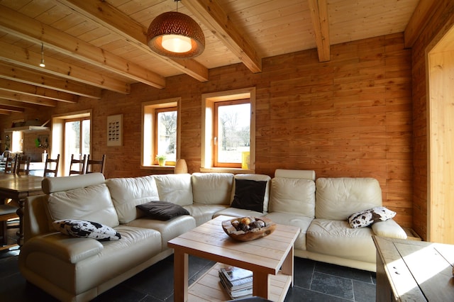 Villa in Freyneux met BBQ & Uitzicht, Manhay
