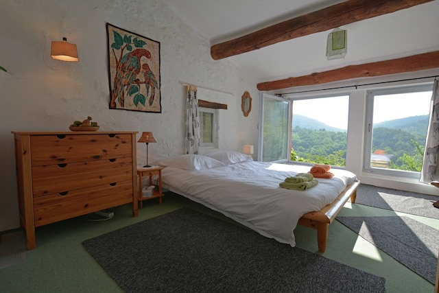 Villa in Pyrenäen mit Bergblick, Fenouillet