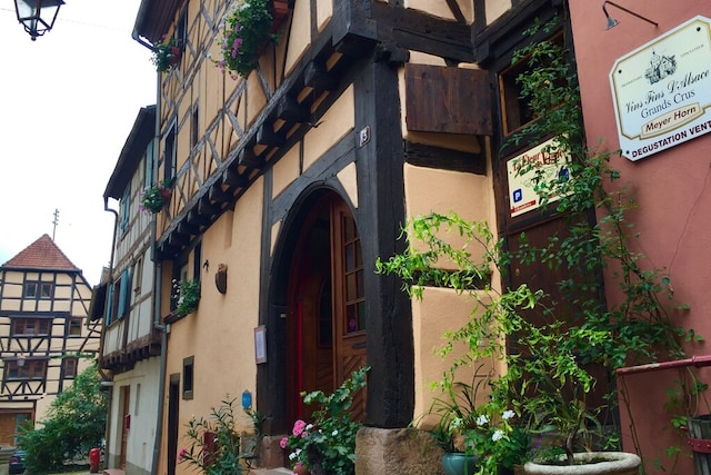 Apartment in Riquewihr near Vineyards