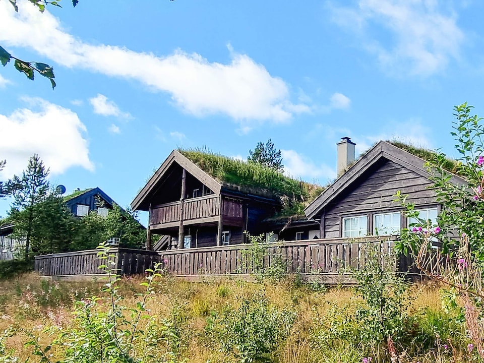 8 personen vakantie huis in Åseral, Bortelid - Vest-Agder