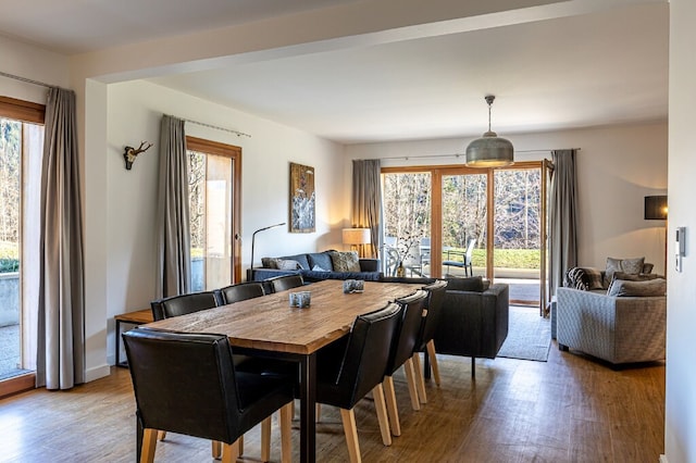 Wohnung in Abondance bei den Alpen, Abondance