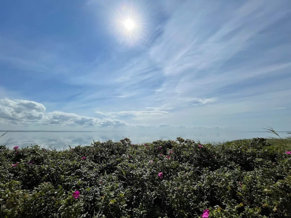 4 person holiday home in Ringkøbing-By Traum, Holmsland Klit