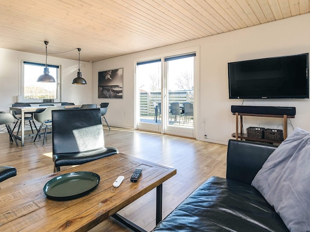 4 stjernet sommerhus i Ålbæk, Skagen området