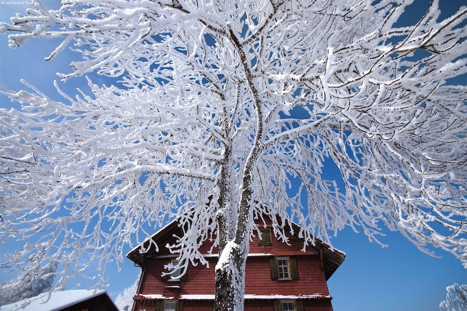 Nature Escape in Kander Valley, Kandergrund