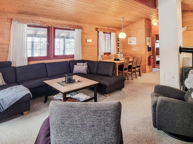 6 Personen Ferienhaus in Åseral, Bortelid - Vest-Agder
