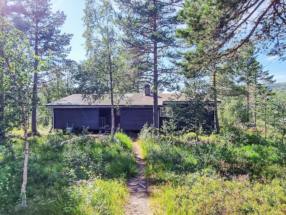 8 personen vakantie huis in Åseral, Bortelid - Vest-Agder