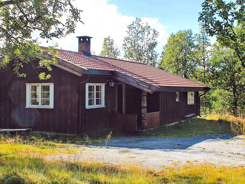 6 Personen Ferienhaus in Nesbyen, Buskerud