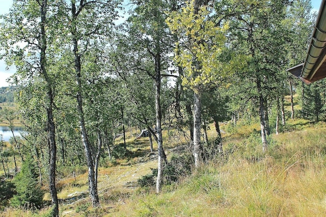 6 person holiday home in Nesbyen, Buskerud