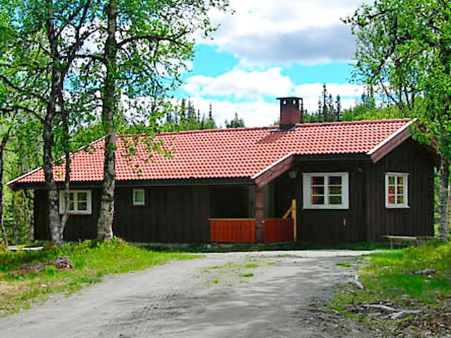 6 Personen Ferienhaus in Nesbyen, Buskerud