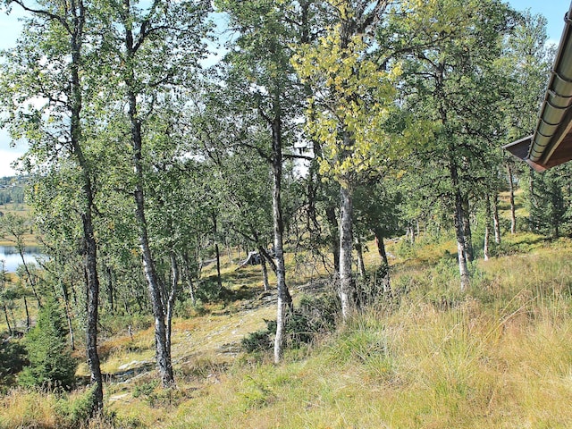 6 Personen Ferienhaus in Nesbyen, Buskerud