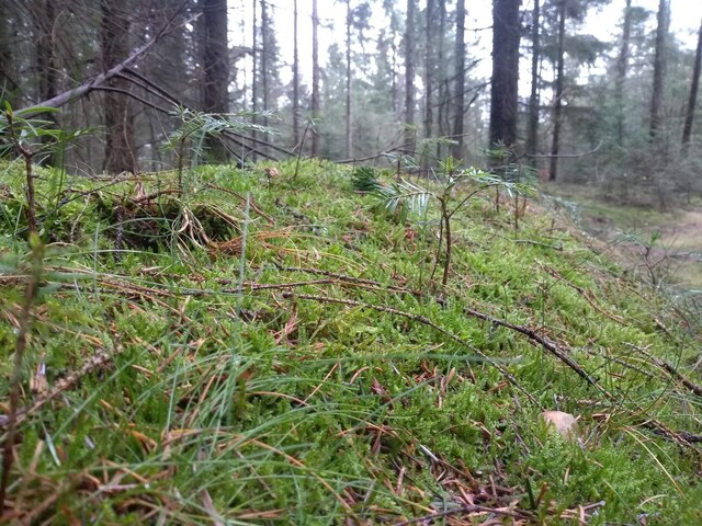 Luxury Retreat with Pool - By Traum Ferienwohnungen, Southern West Coast