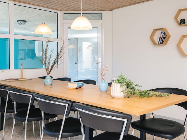 10 personen vakantie huis in Blåvand, Southern West Coast