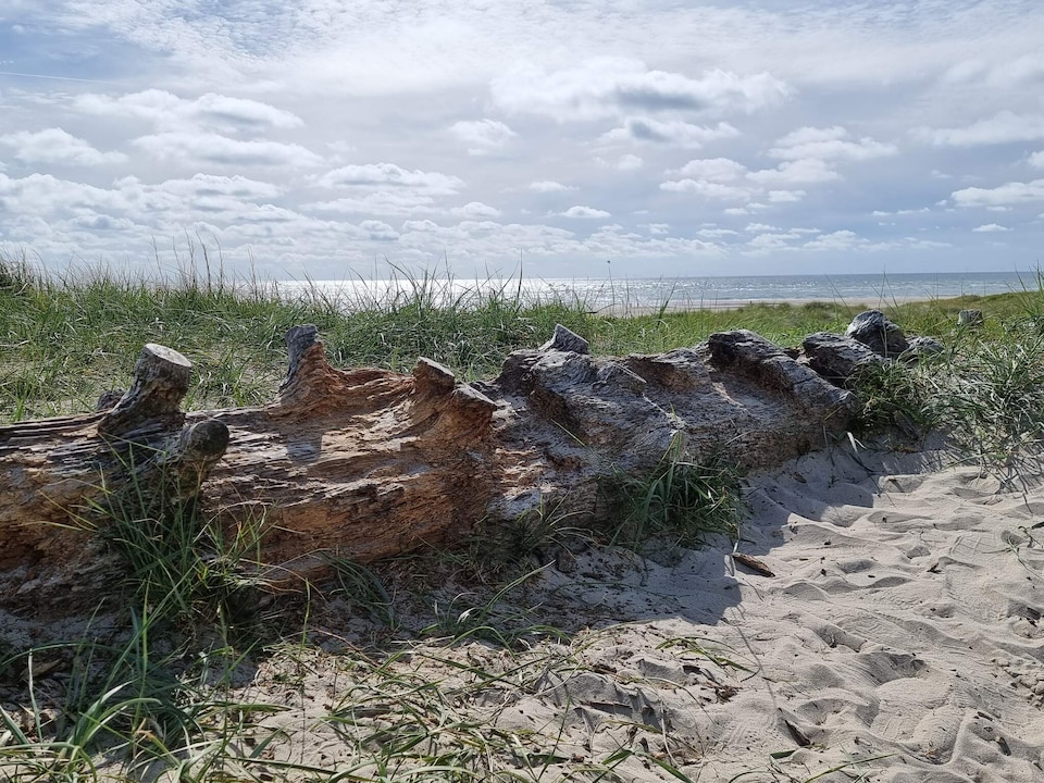 Seaside Oasis in Blavand - By Traum Ferienwohnungen, Southern West Coast