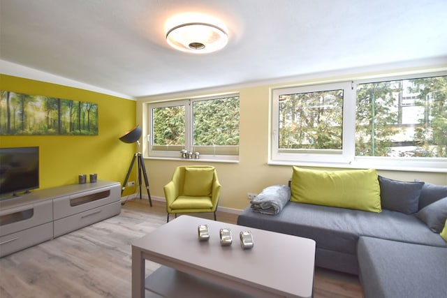 Waldgesäumter Komfort, Güntersberge