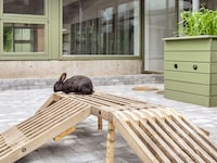 Type5- cosy hotel room in a holiday park