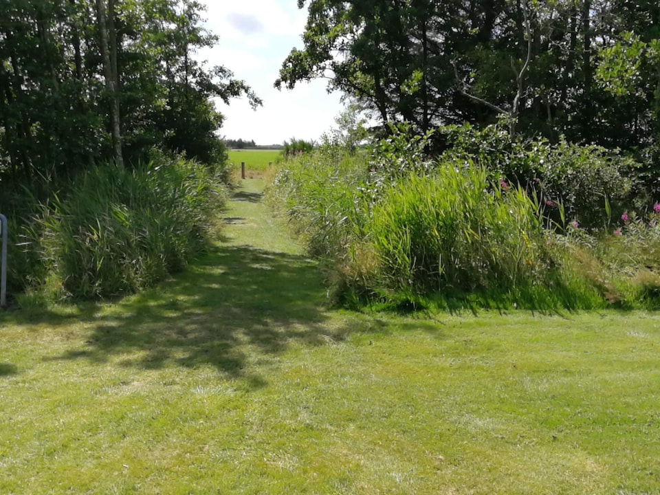 6 person holiday home in Hemmet-By Traum, Ringkøbing Fjord