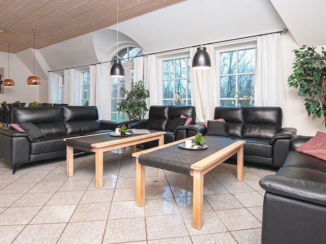 5 sterren vakantie huis in Ulfborg, Holmsland Klit