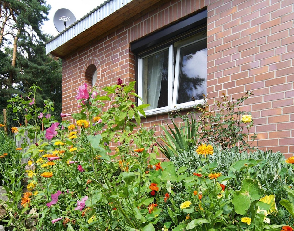 Maison de vacances dans le Feldberger Seenlandschaft, Feldberger Seenlandschaft