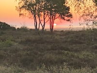 Maison de vacances pour 6 a Hadsund-By Traum