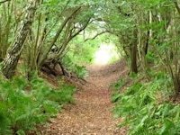 26 persoons vakantie huis in Roslev-By Traum