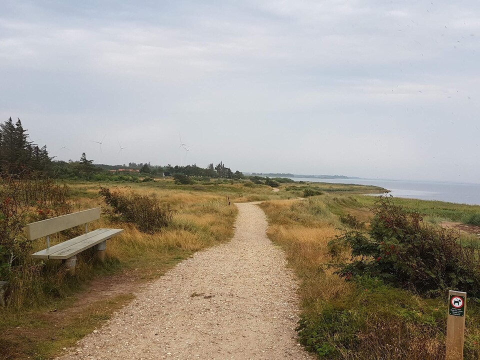 6 person holiday home in Hemmet, Ringkøbing Fjord
