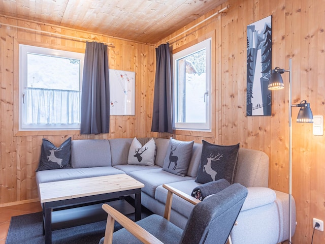 Chalet in Dachstein West met gedeeld zwembad, Annaberg-Lungötz