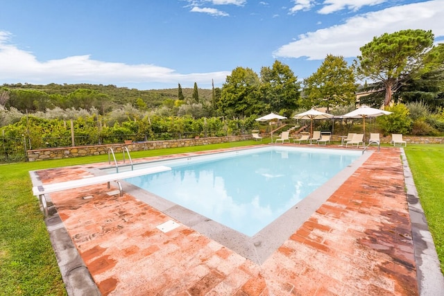 Villa in Tuscany with Pool & Olive Trees