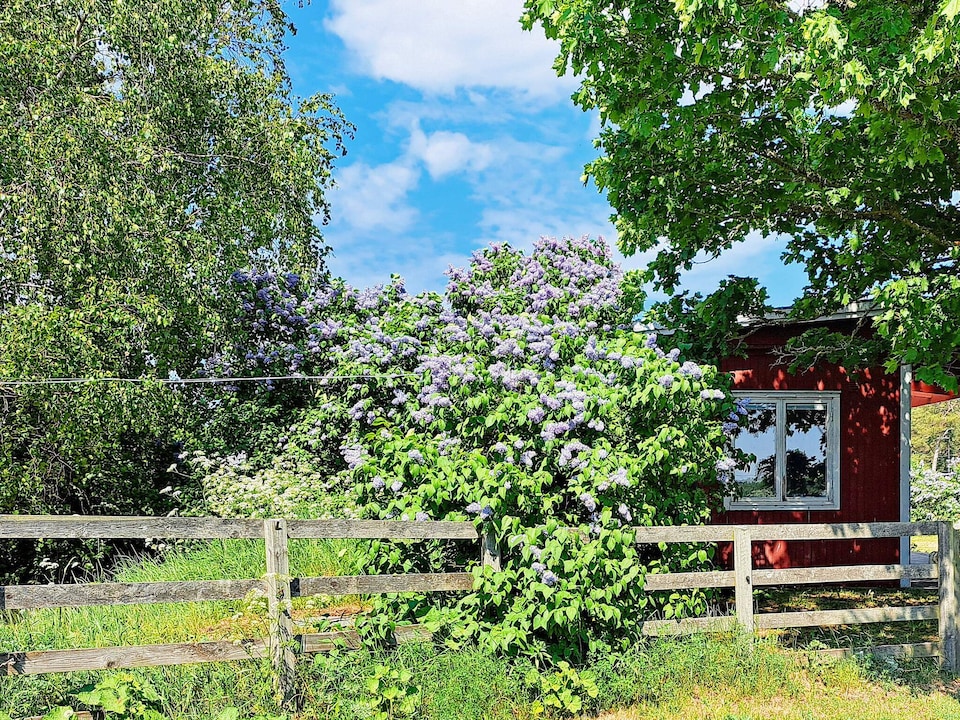 4 personen vakantie huis in Gotlands.Tofta, Gotlands Tofta