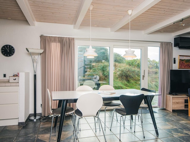 5 sterren vakantie huis in Fanø, Fanø
