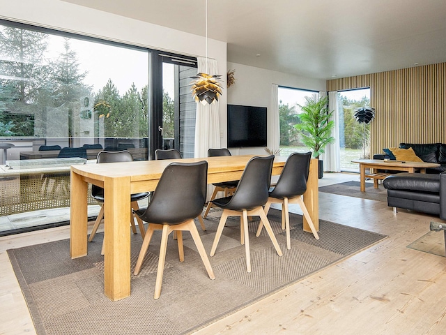 5 star holiday home in Hemmet, Ringkøbing Fjord