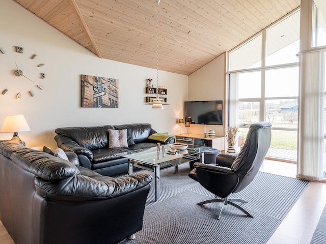 5 star holiday home in Tarm, Ringkøbing Fjord
