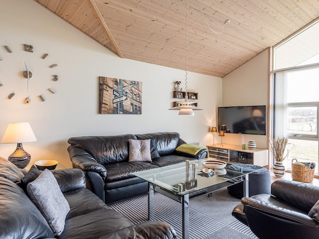 5 star holiday home in Tarm, Ringkøbing Fjord