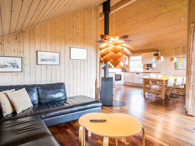 4 sterren vakantie huis in Tarm, Ringkøbing Fjord