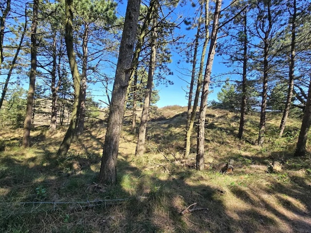 6 person holiday home in Rømø, Rømø and Mandø