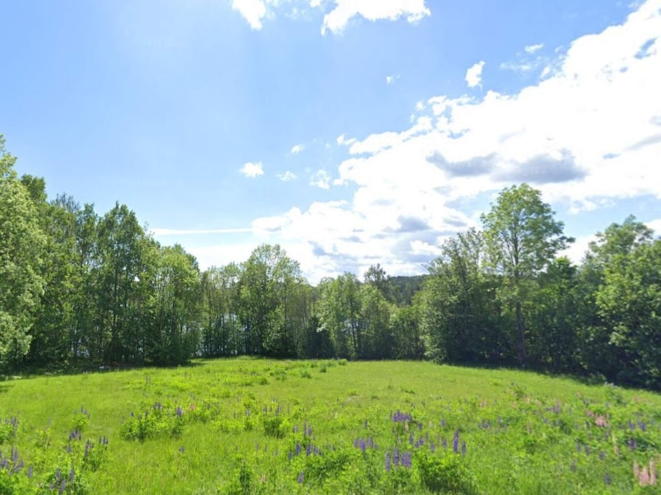 4 person holiday home in Ulfborg-By Traum, Åmål