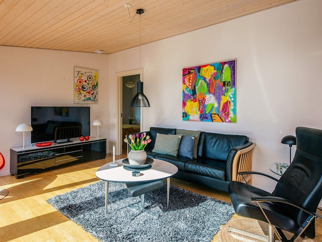 4 sterren vakantie huis in Rømø, Rømø and Mandø