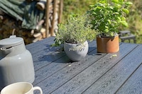 4 persoons vakantie huis in Læsø-By Traum