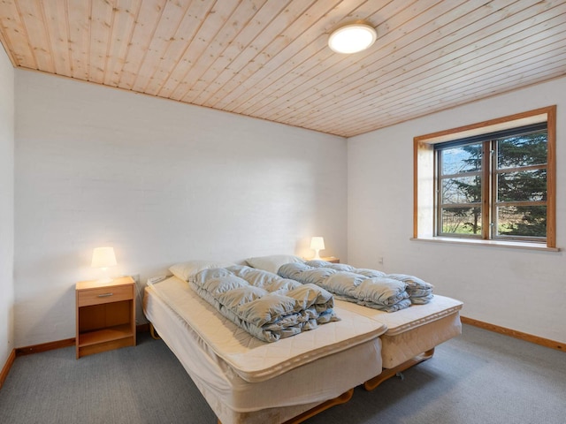 12 personen vakantie huis in Nordborg, Southeast Jutland and Als