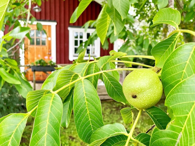 5 personen vakantie huis in Borgholm, Öland Norra