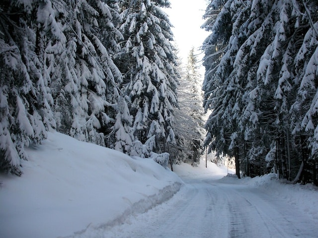 Wohnung in Fresach nahe Skipisten, Fresach