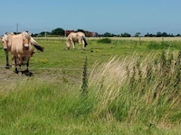 Apartamento en Bélgica para 2 personas