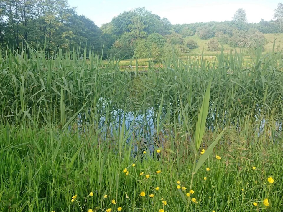 Luxury Retreat by Asbolholm - By Traum Ferienwohnungen, Southeast Jutland and Als