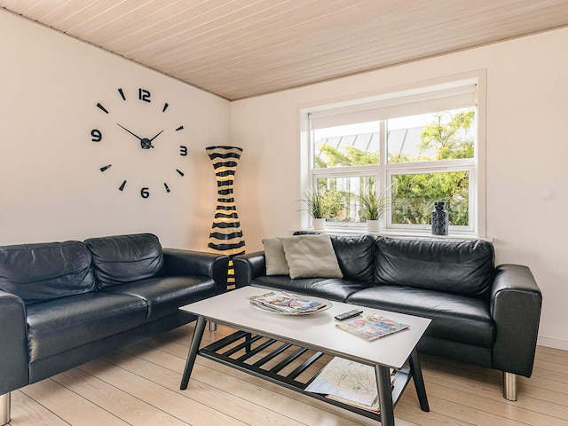 5 sterren vakantie huis in Skagen, The Skagen area