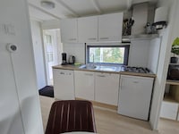 Zuhause im tanzenden Wald
