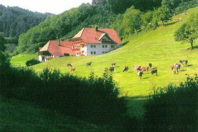 Ruhiges Bauernhaus, Hofstetten, Hofstetten