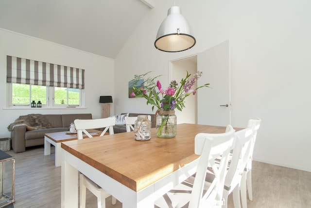 Ferienhaus nahe Küste und Wald, Noordwijk